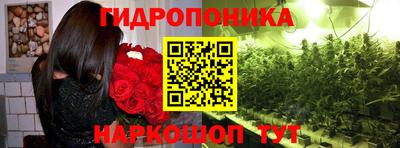 ГАЛЛЮЦИНОГЕННЫЕ ГРИБЫ Малоярославец