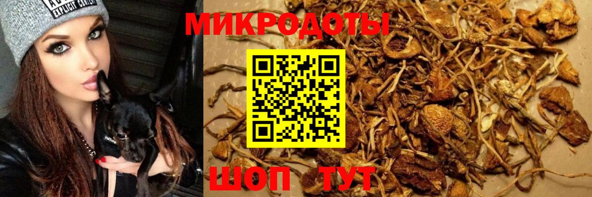 Псилоцибиновые грибы GOLDEN TEACHER Грозный