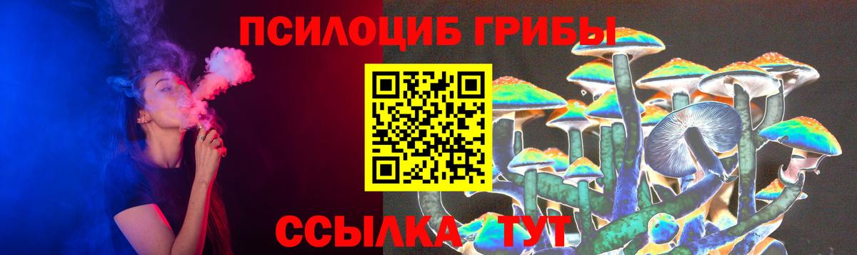 Галлюциногенные грибы Psilocybe  Галлюциногенные грибы MAGIC MUSHROOMS  Вход с VPN  Грозный 